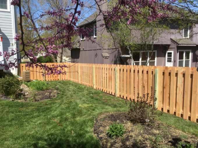 Five-foot cedar shadowbox fence along a backyard lawn