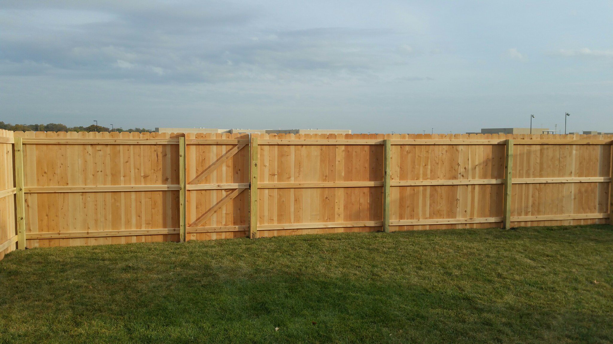 Six-foot cedar privacy fence with plain treated posts and a double gate