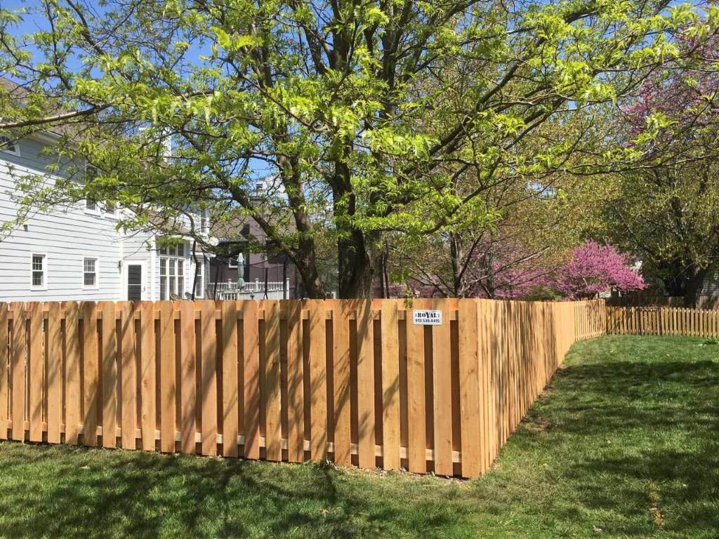 Five-foot cedar shadowbox fence under a flowering tree