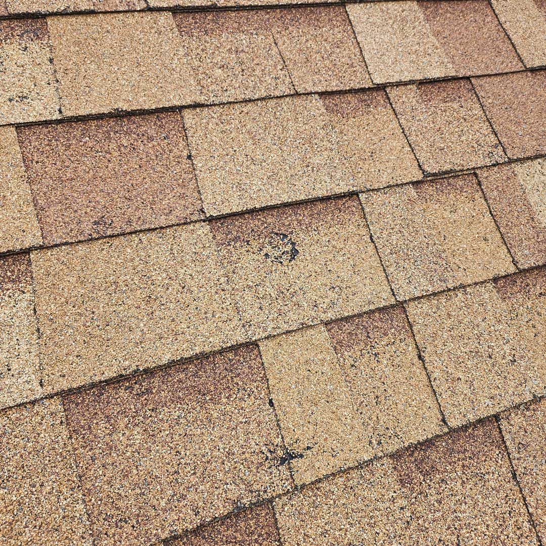 Get a free roof inspection